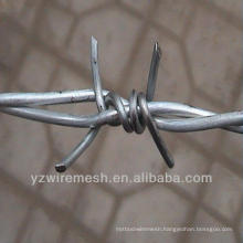 Hot sale barbed wire for South Africa